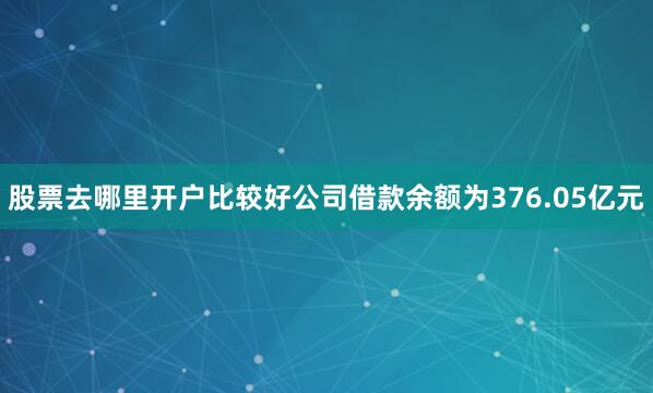 股票去哪里开户比较好公司借款余额为376.05亿元