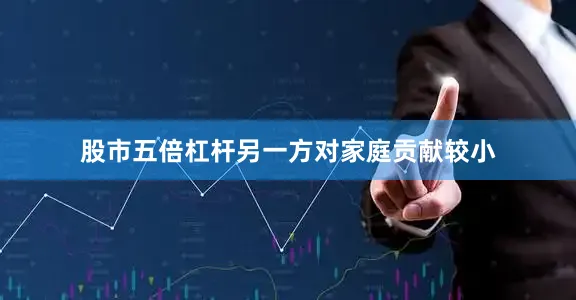 股市五倍杠杆另一方对家庭贡献较小