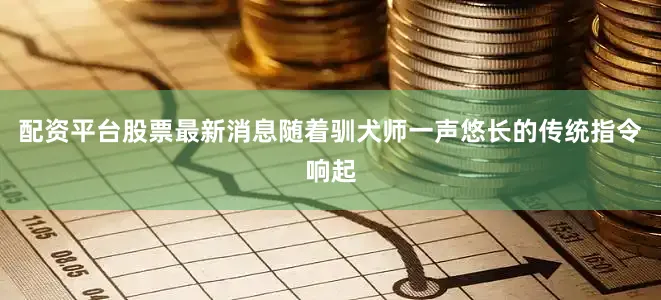 配资平台股票最新消息随着驯犬师一声悠长的传统指令响起