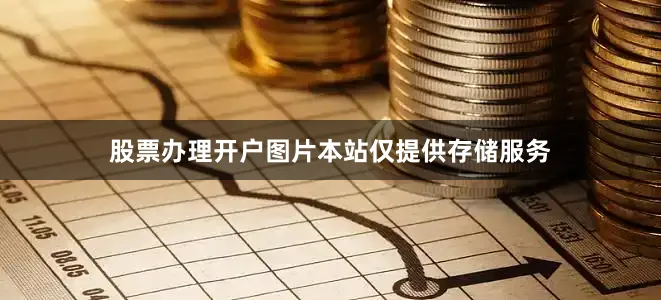 股票办理开户图片本站仅提供存储服务